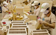 Doanh nghiệp Việt thấp thỏm trước động thái điều tra gỗ nội thất của Mỹ
