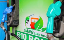 Sau 1 tháng mở bán, lượng xăng E10 tiêu thụ thế nào?