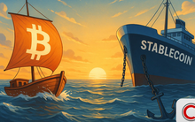 Stablecoin khác gì Bitcoin? Stablecoin có thật sự "ổn định" như tên gọi của nó không?