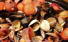 4 thực phẩm dễ trở thành "ổ chứa kim loại nặng" nhất