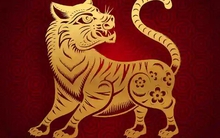 Hết tháng 7 Âm lịch, có 4 con giáp chẳng lo vận đen, tài lộc dồi dào, vừa giàu vừa sướng