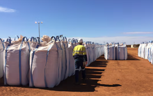 Một loại nông sản quý của thế giới ồ ạt vào Việt Nam chỉ trong 1 tháng: Nhập khẩu tăng trưởng 3 chữ số, Mỹ, Ukraine đều đua nhau gửi hàng đến nước ta