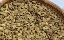 Giá cà phê hôm nay 12-9: Tăng tiếp, nhiều ông lớn chuỗi cà phê xáo trộn