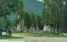 Bộ Công an khởi tố, bắt tạm giam 5 cán bộ ở Gia Lai