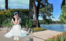 Địa điểm quen thuộc giữa Hà Nội bỗng "biến hình" đẹp như phim, các nàng thơ thi nhau chụp ảnh "cháy máy"
