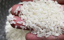 Nói thẳng: 6 loại thực phẩm này có độc, ngon rẻ mấy cũng đừng ăn