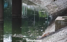 Sông Tô Lịch chỉ có thể hồi sinh khi quản lý tốt không gian hai bên bờ