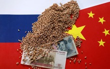 Chuyện thật như đùa: Nga đem lúa mì đổi lấy ô tô Trung Quốc để 'lách' trừng phạt thanh toán từ Mỹ, EU