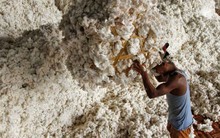 Xuất khẩu sang Trung Quốc trượt dốc 90%, Mỹ ồ ạt đưa một mặt hàng vào Việt Nam với giá siêu rẻ, nước ta tiêu thụ 1,5 triệu tấn/năm