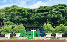 TTC AgriS dự kiến phát hành hơn 40,7 triệu cổ phiếu ESOP