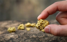 Phát hiện 2.500 kg vàng trị giá 7.000 tỷ đồng bị bỏ ngoài hố rác