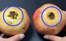 Mua lựu, cứ học thuộc "mẹo nhỏ" này là biết ngay là ngọt hay không