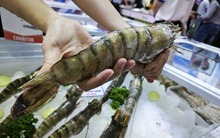 Trung Quốc ồ ạt mua tôm Việt, lần đầu soán vị trí nhập khẩu số 1 từ Mỹ