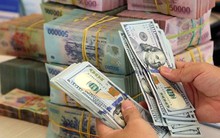 Tỷ giá USD ngân hàng vẫn kịch trần dù Fed giảm lãi suất