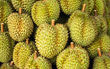 Quyết lấy lại thị phần tại Trung Quốc, một ông lớn Thái Lan chuẩn bị ra mắt xôi sầu riêng ăn liền, sẽ mở rộng sang cả thị trường châu Âu