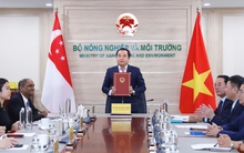 Việt Nam và Singapore vừa ký kết chiến lược, liên quan thị trường ước đạt 250 tỷ USD: "Bùng nổ" năm 2050