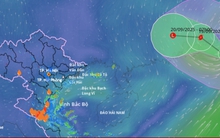 Tin mới nhất bão số 8 Mitag và dự báo thời tiết cả nước 10 ngày tới