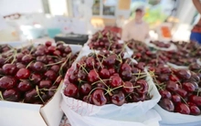 Rau quả Mỹ về Việt Nam bất ngờ tăng mạnh