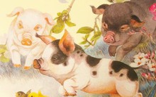 Đúng mùng 1 tháng 8 Âm lịch, 4 con giáp được đà thăng tiến, tiền vào như nước, vào giai đoạn thịnh vượng nhất năm