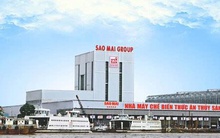 Tập đoàn Sao Mai sắp phát hành hơn 37 triệu cổ phiếu trả cổ tức năm 2024
