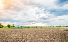 Đất nông nghiệp chưa có Giấy chứng nhận, bồi thường thế nào?