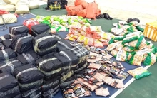 Phát hiện xe khách chở 3 tấn thực phẩm đông lạnh không rõ nguồn gốc