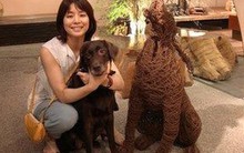 Biết từ chối 3 kiểu chi tiêu này – dấu hiệu đầu tiên cho thấy tài vận của bạn đang mở ra