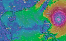 Bão Ragasa mạnh như bão Yagi, dự báo đổ bộ vào khu vực nào của Việt Nam?