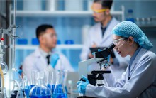 Tin vui có hiệu lực từ 19/9: Chuyên gia khoa học, công nghệ, đổi mới sáng tạo và chuyển đổi số được hỗ trợ 1 tháng lương để ổn định chỗ ở, thưởng hằng năm tới 4 tháng lương