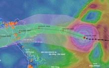 Siêu bão Ragasa di chuyển quá nhanh, ảnh hưởng nước ta rất sớm