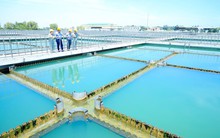 Cổ đông lớn Sonadezi không đồng ý điều chỉnh kế hoạch SXKD năm 2025 và lương thưởng Chủ tịch HĐQT 163 triệu đồng/tháng của Dowaco