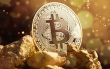 Thị trường tiền điện tử "bốc hơi" hơn 1,5 tỷ USD sau giai đoạn thăng hoa