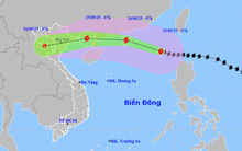 Bộ Y tế chỉ đạo khẩn