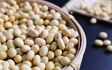 4 thực phẩm "sinh progesterone" phụ nữ trên 45 tuổi nên ăn nhiều