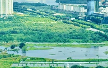 Doanh nghiệp nào muốn thay thế Lotte thực hiện dự án Eco Smart City tại Thủ Thiêm?