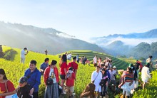 Cảnh tượng diễn ra giữa ruộng bậc thang Mù Cang Chải khiến nhiều người ngỡ ngàng: Hoá ra đây là lý do homestay thi nhau "cháy" phòng