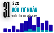 31 tỷ USD 'nuôi lớn' Masan, Tiki, EQuest, Golden Gate... trong 1 thập kỷ từ dòng vốn tư nhân