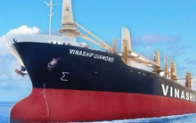 Vinaship sắp chia cổ tức bằng tiền mặt với tỷ lệ 6%