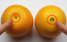 Mua cam, chỉ mất 10 giây học mẹo này là biết cam ngọt hay cam sượng