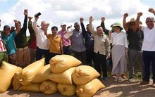 Cuba muốn học hỏi một kỹ thuật của Việt Nam trong lĩnh vực nuôi sống một nửa nhân loại: Kỳ tích