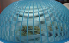 4 thực phẩm tưởng sạch nhưng là "ổ vi khuẩn", ăn sai dễ phải nhập viện