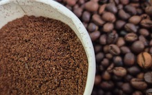 Giá cà phê hôm nay 26-9: Robusta lao dốc, Trung Quốc giảm mua cà phê Việt