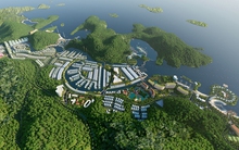 Sau khi về tay nhóm cổ đông mới, Vinaconex-ITC có chủ tịch mới, đẩy mạnh triển khai dự án Cát Bà Amatina