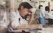 Công ty phá sản, tôi được nhận 740 triệu đồng, lúc rời đi sếp thông báo: Có việc mới, ai làm tiếp thì lương gấp 1,5 lần, nhưng phải từ bỏ khoản bồi thường