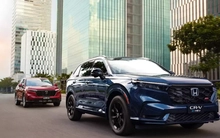 Xu hướng phổ cập xe hybrid tại Việt Nam