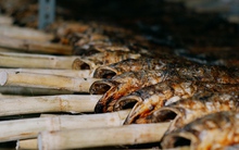 'Kho báu' dưới nước giúp Việt Nam thành ông trùm số 1 thế giới: chất lượng vừa rẻ vừa ngon, chỉ Việt Nam tạo nên ngành công nghiệp tỷ đô