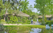 Rút sổ tiết kiệm 5 tỷ về quê xây nhà, mới sau 1 tháng, người đàn ông thừa nhận: Cuộc sống chưa bao giờ dễ thở như vậy