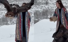 Chú chim đầu tiên được lên hot search xứ Trung vì thái độ cực gắt với du khách