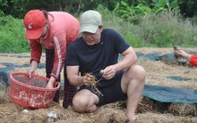 Tuổi 52 cực phong độ của "ông trùm đại gia Vĩnh Long" được Cát Tường công khai gọi "ông xã"