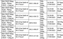 Hơn 200 chủ xe có biển số sau nhanh chóng nộp phạt nguội theo Nghị định 168